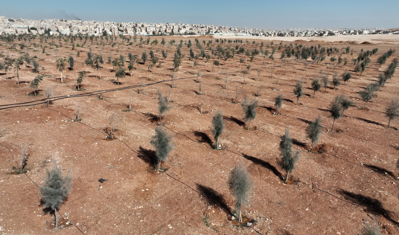 Environmental Projects