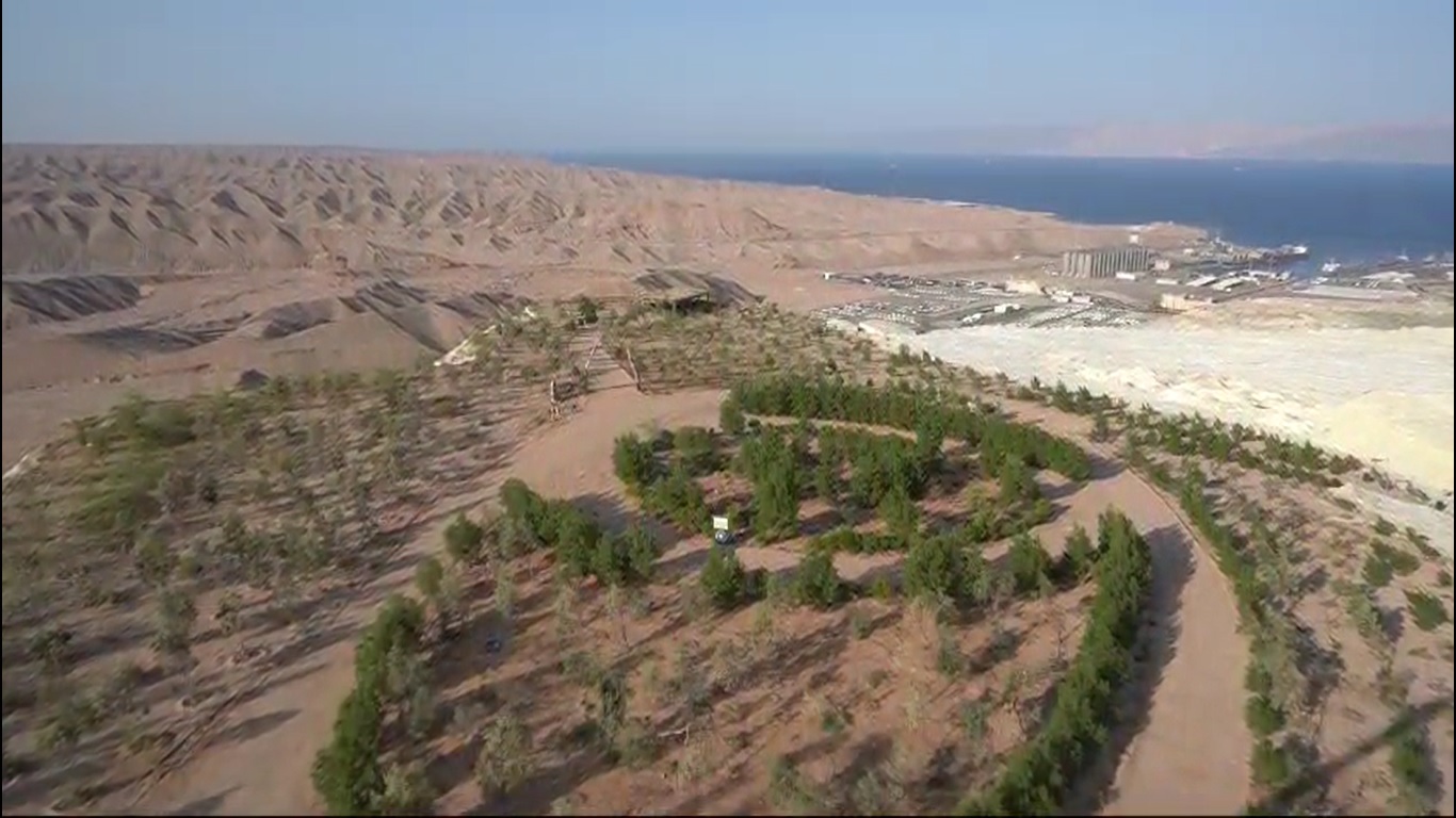 The Gypsum greening project at the industrial complex of JPMC in Aqaba.