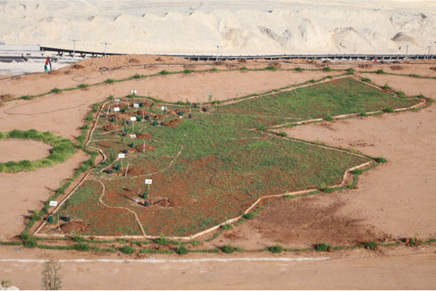 The Department of Environment and Public Safety